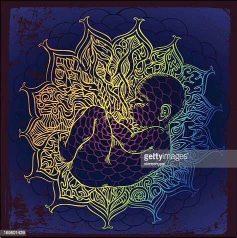 Baby With Umbilical Cord High Res Illustrations Getty Images