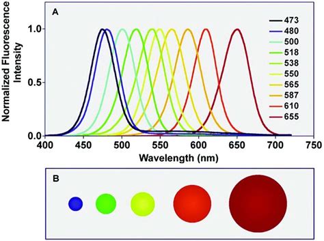 Dependency Of The Light Radiation Color On The Size Of The Cdse Quantum