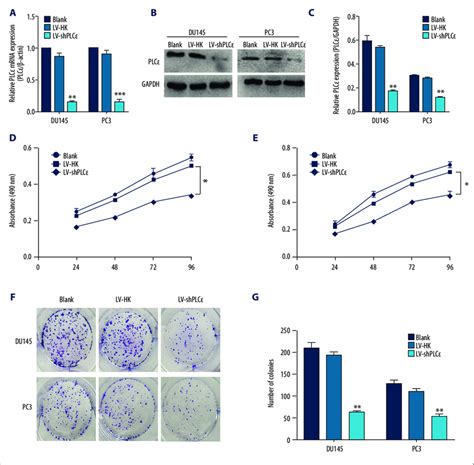 Plce Down Regulation Suppresses Pca Cells Proliferation In Du145 And