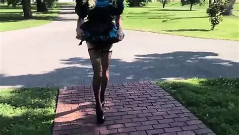 Clever Sissy Shemale Porn XHamster