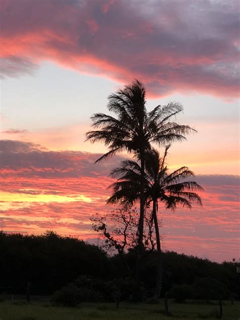 Hawaiian Colors – Mike Muellner, M.D.