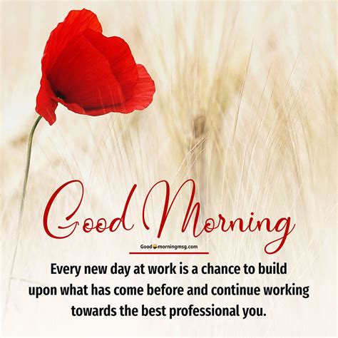 150 Cute Good Morning Quotes Images And Whatsapp Status
