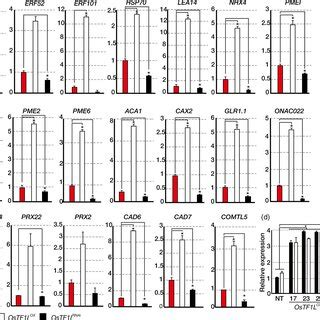 Qrtpcr Analysis Showing The Transcript Levels Of Droughtinducible