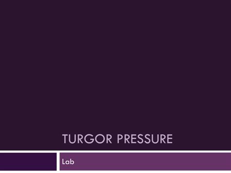 turgor pressure ms gordons  classroom