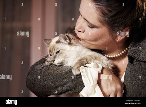Thank You Very Much Cat