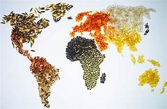 What Country Has The Best Food