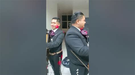 Seremos Mariachi Nuevo Tamazula Youtube
