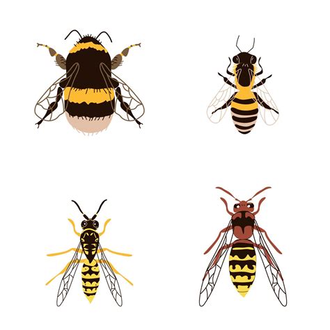 Four buzzing insects are a bee, a wasp, a bumblebee and a hornet
