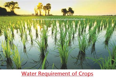 Water Requirement Of Crops Delta And Duty Of Water