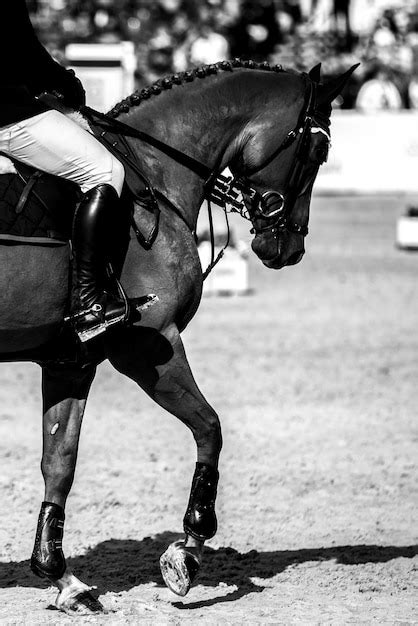 Premium Photo | Equestrian horse jumping competition show jumping ...