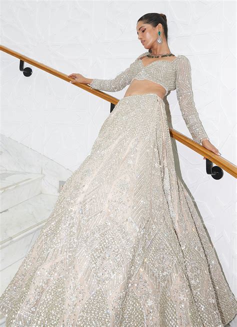 Nude Net Lehenga Choli Set Meraki