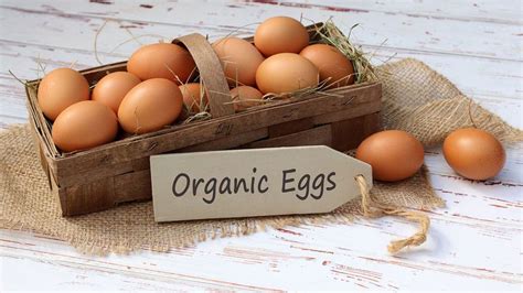 What's better to buy, organic eggs or cage-free eggs? | HowStuffWorks