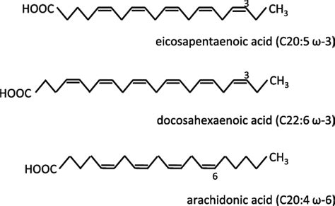 Polyunsaturated Fat Molecule