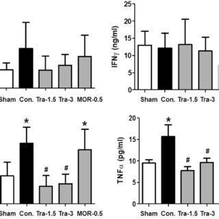 Natural Killer Cell Activity In Whole Blood Of MCF 7 Tumor Bearing Nude