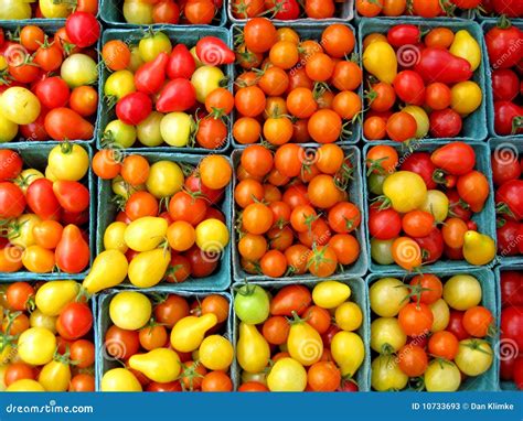 Baskets Of Cherry Tomatoes Stock Image Image Of Tomatoes 10733693