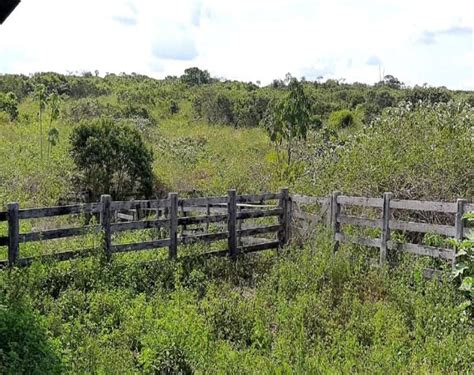 Fazenda A Venda Em Medicilândia Pa