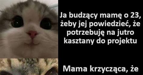 Już mnie nie kochasz mamo Jeja pl