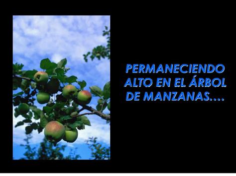 Ppt Atbol De Manzanas Powerpoint Presentation Free Download Id191154