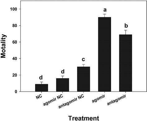 Artificially Designed And Synthesized Mirna Molecule And Aphid Pest