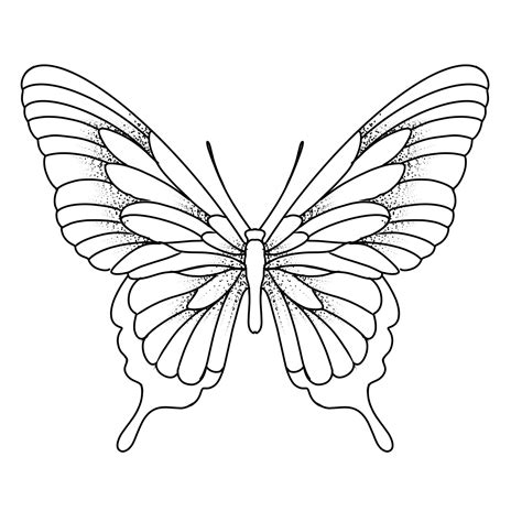 pin  lucas fernandes tattoo  asas butterfly tattoo stencil butterfly drawing outline