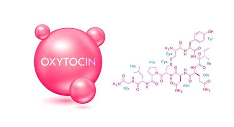 Oxitocina Free Stock Vectors