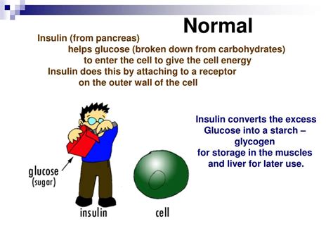 Ppt Syndrome X Insulin Resistance Metabolic Syndrome Powerpoint