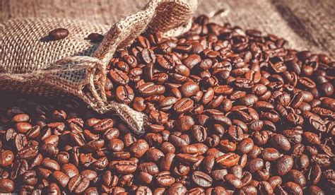 9 Jenis Jenis Kopi Terbaik Yang Wajib Diketahui