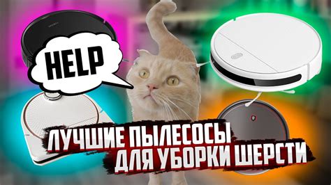 ВЫБИРАЕМ РОБОТ ПЫЛЕСОС ДЛЯ КОТА И СОБАКИ 🔥 Какой робот лучше для уборки ...