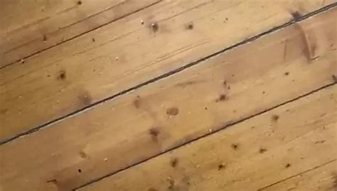 Pissen Mit Steifen Schwanz Gay Amateur Porn E Xhamster