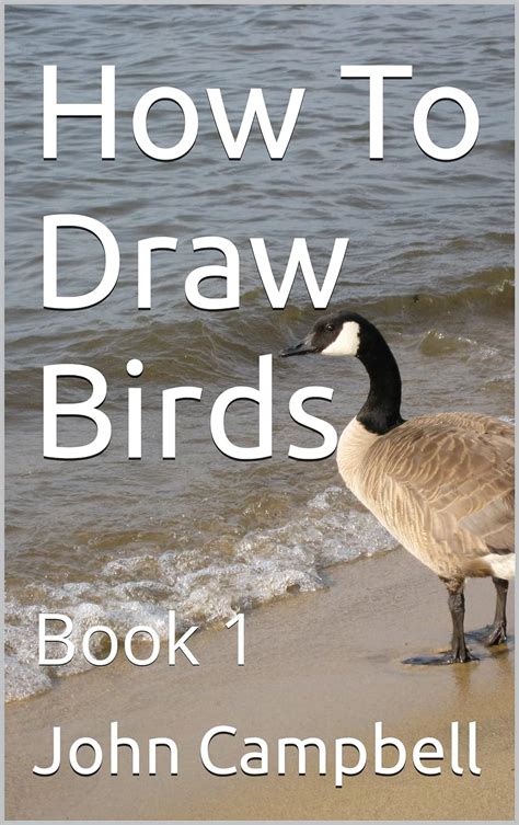 How To Draw Birds Book 1 Ebook Campbell John Kindle Store