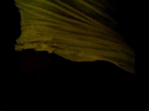 WP 20150823 09 38 12 Pro XVIDEOS