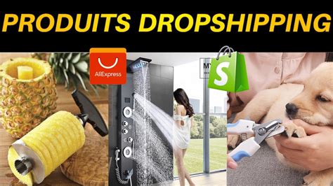 TOP 10 Produits Gagnants Dropshipping Juin 2022 Niches Tendances