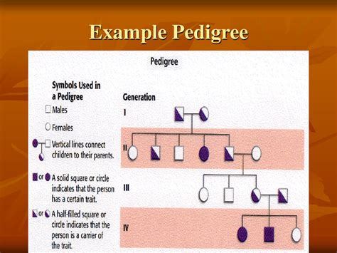 Pedigrees Biology. - ppt download