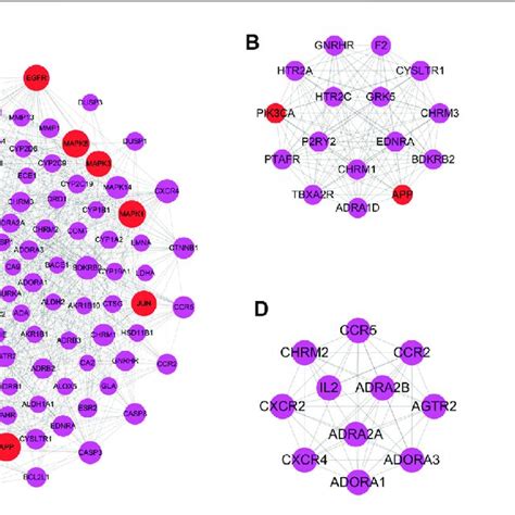 Protein Protein Interaction Network And Module Analysis A Dhi Ami