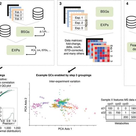 Schematic Of A Custom Bioinformatics Analysis Pipeline That Generates A