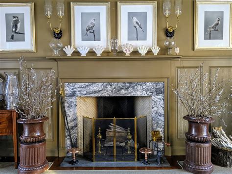 Time To Gather Pussy Willows The Martha Stewart Blog