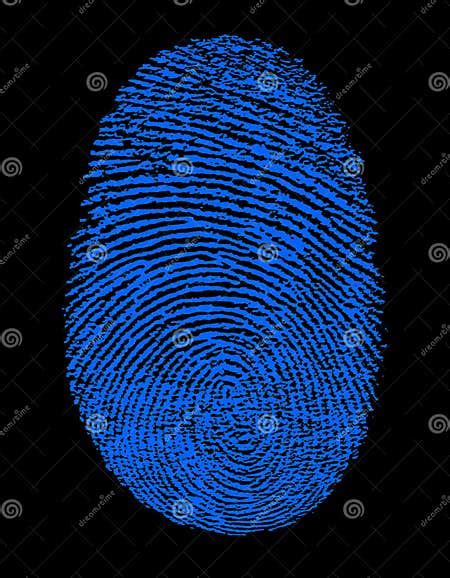 Blue Fingerprint Identity Id Stock Image Image Of Evidence Identity