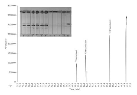 Policosanol Composition Using Isopropanol As Acyl Receptor In Toluene