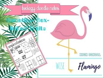 BIOLOGY Doodle It Notes Genetics Complex Inheritance Sex Linked Traits