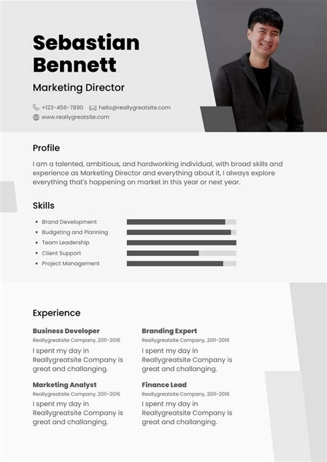 Resume Free Canva Template | Modern resume, Modern resume template, Resume