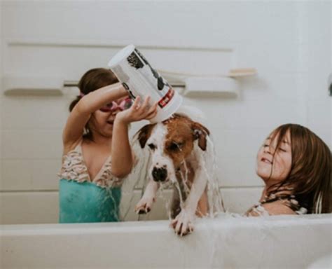 The Advantages Of Gas Hot Water Heating