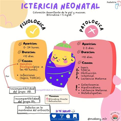 Ictericia Neonatal | Medicine Easy MLR | uDocz