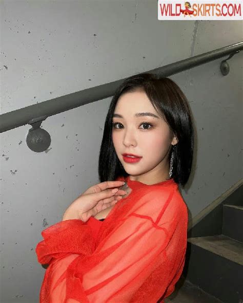 WomenK Pop Nude Leaked Photos And Videos WildSkirts