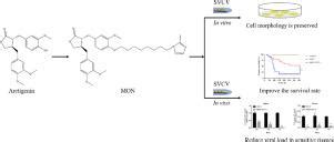 Virus Research X Mol