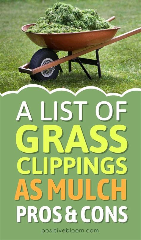 Exploring Grass Clippings As Mulch: Pros And Cons | LawnHelpful.com