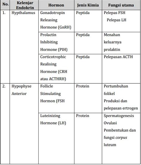 Jenis Dan Fungsi Hormon Tumbuhan Lengkap Generasi Bio