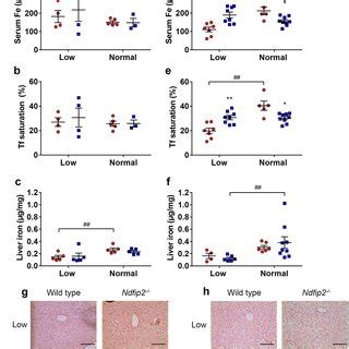 Sex Specific Changes In Serum Iron Transferrin Saturation And Liver