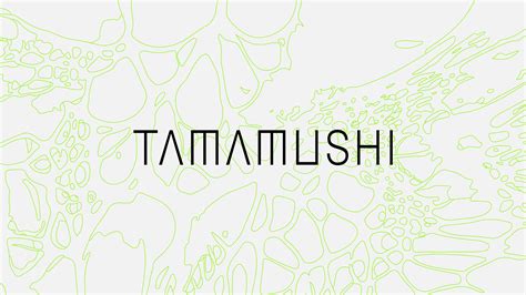 HEADSPACE — Тamamushi — бренд уличной одежды