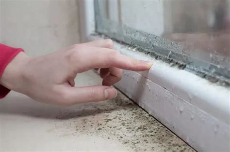 Use These Simple But Effective Tricks To Beat Window Condensation And