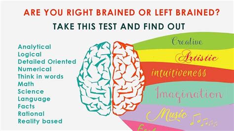 Test Your Brain Dominance With A Printable Left Brain Right Brain Test